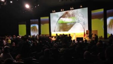 Ouverture des assises de l'agriculture à Meknes.