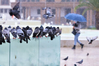 Météo. Fortes averses orageuses et rafales de vent mercredi et jeudi