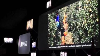 Live: 10ème EDITION DES ASSISES NATIONALES DE L'AGRICULTURE - Meknès En partenariat avec le Groupe Holmarcom