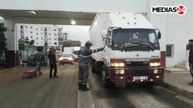 Immersion dans le marché de gros de poisson de Casablanca