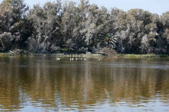 Nouveau souffle pour les aires protégées au Maroc