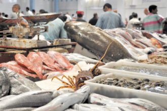 Poisson: les intermédiaires font de nouveau flamber les prix