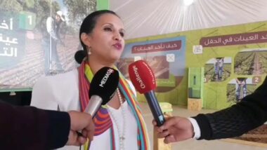 Déclaration de Mme Fatiha Charradi, Vice Présidente en charge du Développement Agricole Groupe #OCP à l'occasion de la clôture du dispositif Al Moutmir -