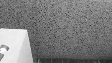 Live: Visite de la nouvelle Gare LGV CasaVoyageurs