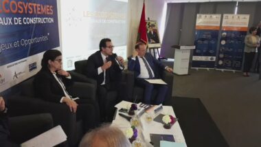 En direct: Les Écosystèmes Matériaux de Construction,« Enjeux et Opportunités »