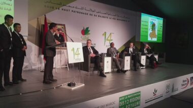 En direct: #SIAM 2019, conférence sur l'emploi dans le secteur agricole, agro-alimentaire et secteurs associés Ce live vous a été présenté par Cosumar sponsor officiel du #SIAM2019