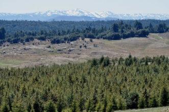 Les activités de braconnage en hausse dans plusieurs régions