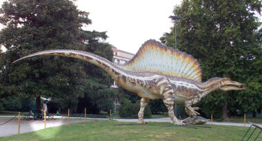 Maroc: Découverte du premier dinosaure aquatique connu au monde