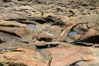 Météo: 70% de probabilité d'un phénomène El Niño à la fin de l'année