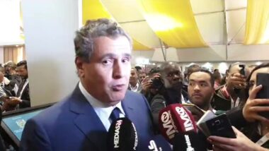 Salon des dattes 2019: déclaration du ministre de l'Agriculture Aziz Akhannouch