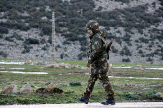 Algérie: une réforme de la constitution interroge sur un changement de doctrine