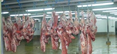 Une petite polémique au sujet d’abattoirs privés repose la problématique de la filière viandes