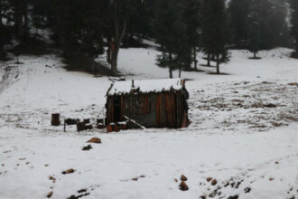 Plusieurs provinces activent leurs plans de lutte contre le froid