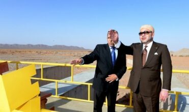 De nouveaux projets et un ambitieux plan de développement du palmier-dattier