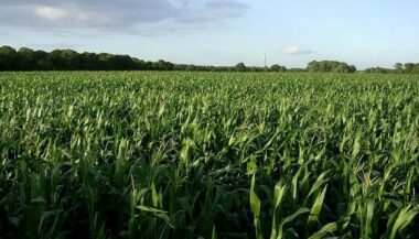 Le coup de gueule des agriculteurs contre le projet de loi de finances 2014