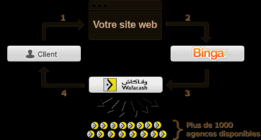 Binga, une nouvelle plateforme de paiement en ligne