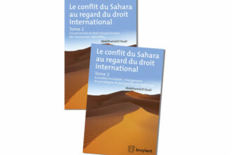 Sahara. Bonnes feuilles: Le livre événement de Abdelhamid Ouali