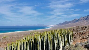 Aux Canaries, la prospection pétrolière inquiète les autorités locales