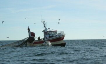 Accord de pêche: l'Espagne remercie le Roi Mohammed VI