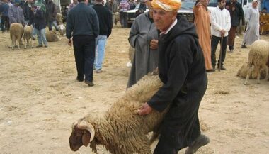 Les conseils de l'ONSSA pour Aïd Al-Adha