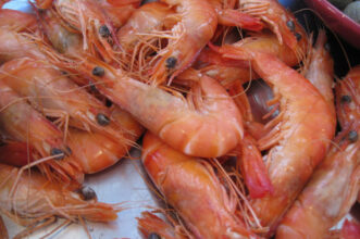 Belgique: pénurie de crevettes à cause du confinement au Maroc