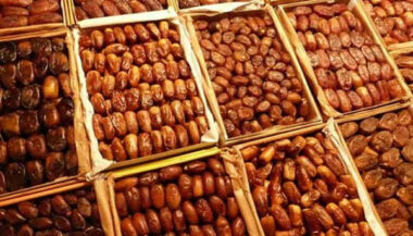 Dattes: une production record pour la saison agricole 2020-2021 (Akhannouch)