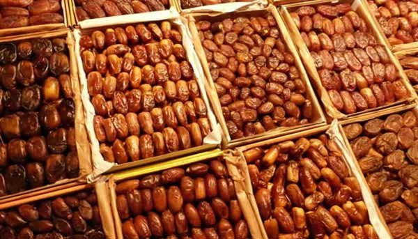 Le Maroc, premier importateur des dattes tunisiennes 