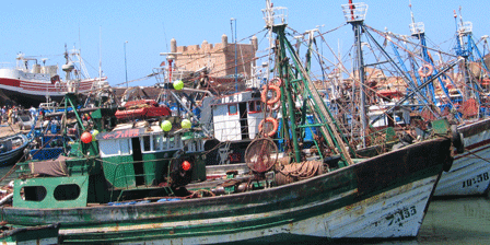 L’OMP fait l’objet d’une saisie exécutoire de plus de 10 MDH