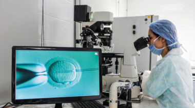 Infertilité : les demandes de PMA ont fortement chuté à cause de la crise économique