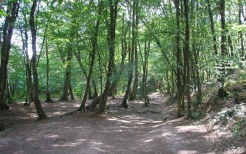 Lancée il y a un siècle, elle s'appuie désormais sur Internet