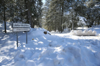 Tourisme : Les chutes de neige ont profité à Ifrane mais pas à L'Oukaimeden
