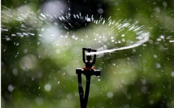 Le rétenteur d’eau, une solution innovante d’irrigation économe mais qui tarde à s’installer au Maroc