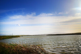 Craintes pour la zone humide de la Moulouya à cause d'un projet de barrage