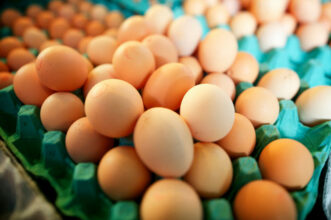 Vers une baisse du prix des œufs à l’approche du Ramadan