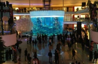 World Finance s’intéresse à l’essor de la distribution moderne au Maroc