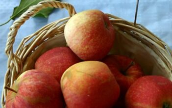 Label bio : les décrets d’application validés