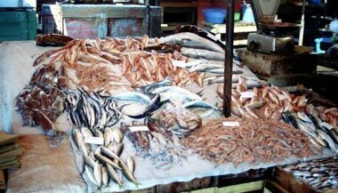 Plus de 41 MDH pour la construction d’un marché de gros de poisson à Fès