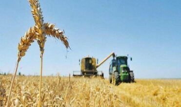 La croissance économique ralentit à 2,4% au deuxième trimestre (HCP)