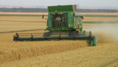 En 2017, hausse de la croissance grâce à l'agriculture (HCP)