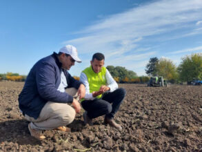 Al Moutmir : 3.600 plateformes de démonstration de céréales et légumineuses en 2022-2023, rendement en hausse