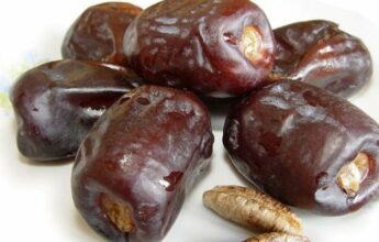 Erfoud: le Salon international des dattes ouvre ses portes