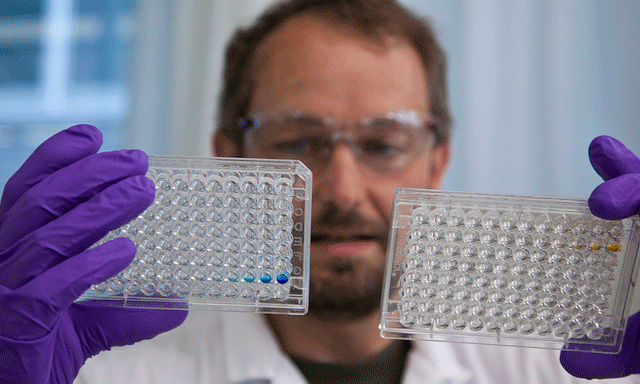 Le gouvernement veut appuyer l’innovation et la recherche