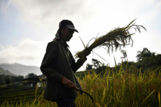 Agriculture en Afrique: signature d'un partenariat entre OCP Africa et IFC