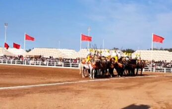 Suite-SALON DU CHEVAL D'EL JADIDA, DOUZIÈME ÉDITION, Grand prix de sa majesté le roi mohammed VI de Tbourida