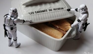 Dans la boîte de sardines, seule la sardine est marocaine ou presque