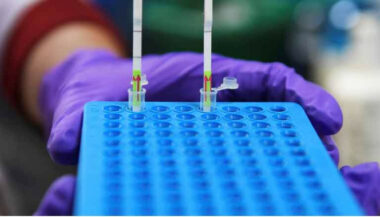 Coronavirus: un nouveau test rapide et bon marché en Inde