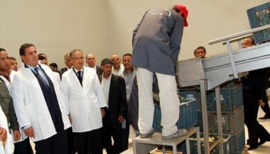 Figue de barbarie : inauguration  d'une unité de conditionnement et de valorisation à Sidi Ifni