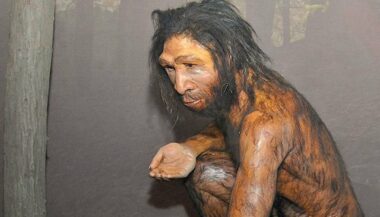 24 heures d'actualité en images