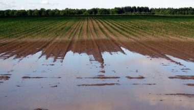 Pluviométrie: Nette amélioration par rapport au début de l'année