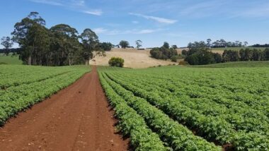 Le Maroc s’initie à l’agriculture circulaire